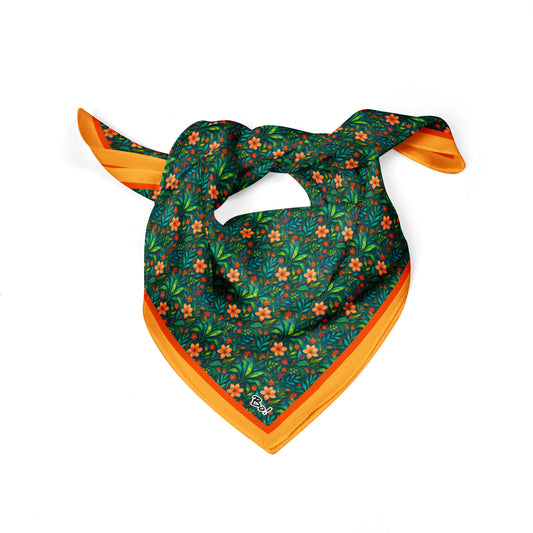 Pañuelo JARDIN SECRETO